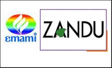 Zandu logo.jpg