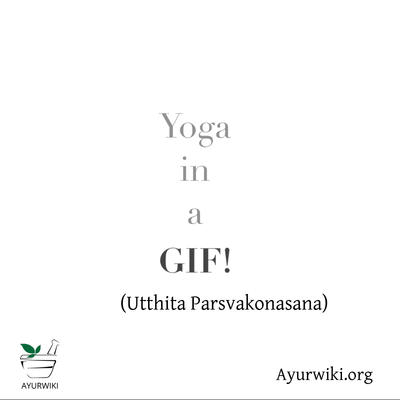 Yoga in a GIF - Utthita Parsvakonasana