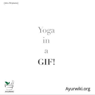 Yoga in a Gif - JāNu ŚĪRṣĀSana