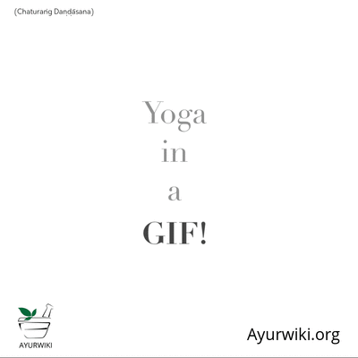 Yoga in a Gif - ChaturaṅG DaṇḌĀSana