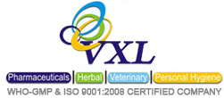 VXL Logo.jpg