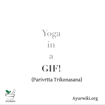 Yoga in a GIF - Parivrtta Trikonasana