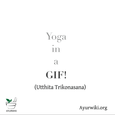 Yoga in a GIF - Utthita Trikonasana