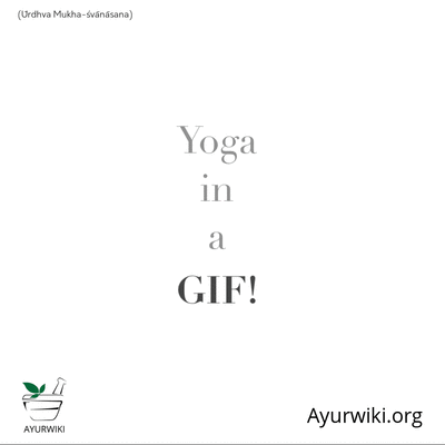 Yoga in a Gif - ŪRdhva Mukha-ŚVāNāSana