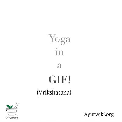 Yoga in a GIF - Vrikshasana